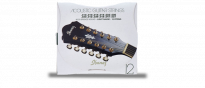 IACS12C Acoustic Guitar Strings 12-String 10-27