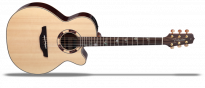 TSF48C Natural Gloss   Legacy Series Westerngitarre