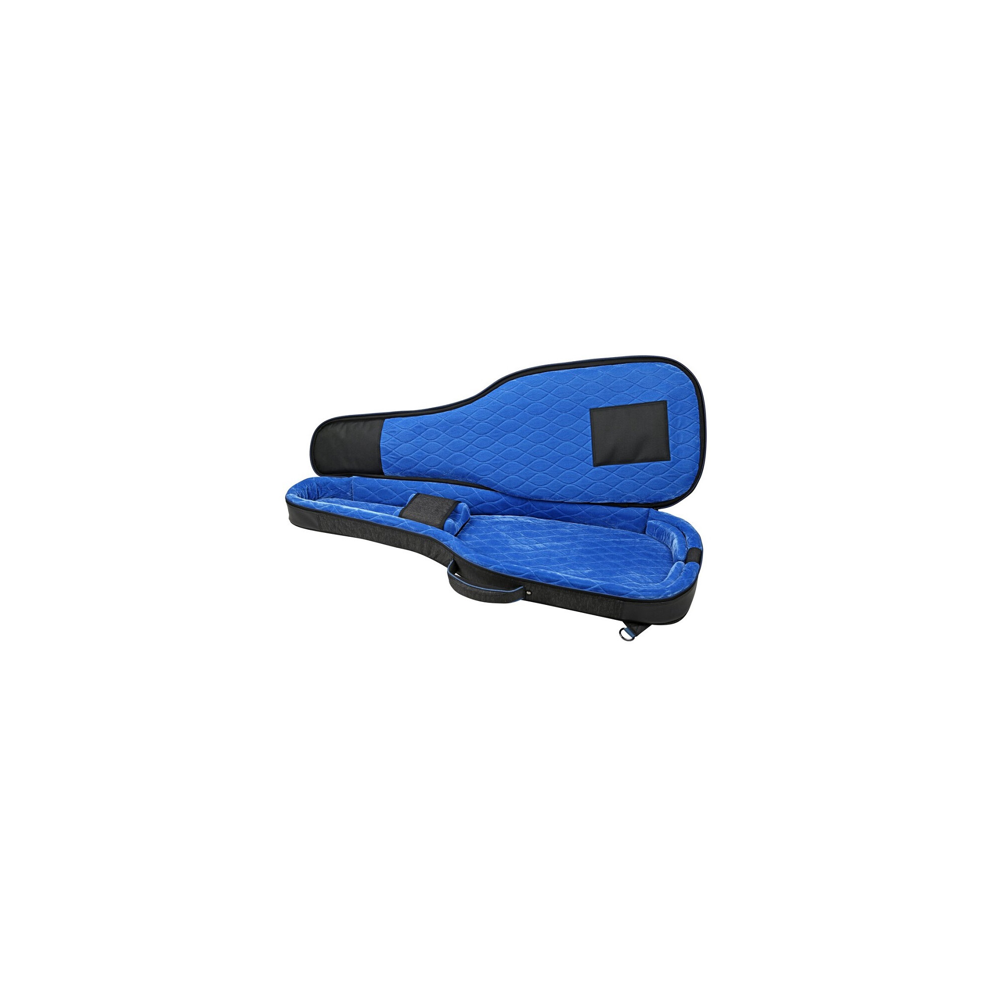 Reunion Blues RBX-1E Softcase