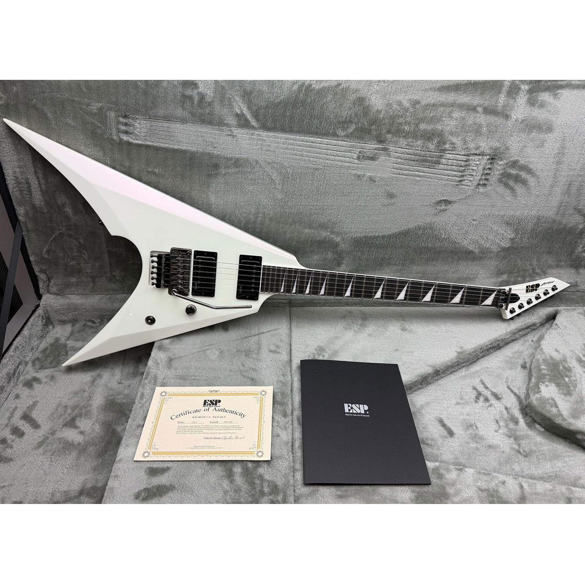 ESP Original Arrow Everest box